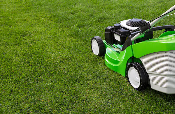 Outdoor shot of green lawnmower