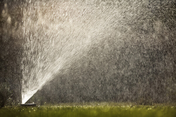 Tips for Successfully Watering Your Lawn