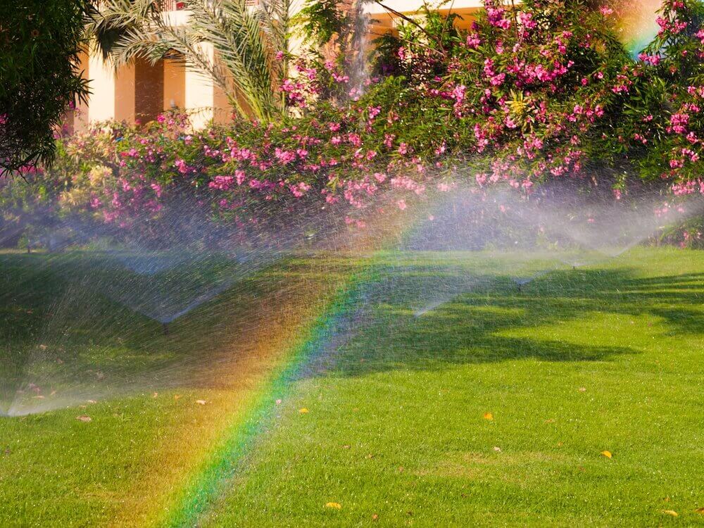 Watering Well Keeping Your Florida Friendly Lawn Healthy Duda Sod