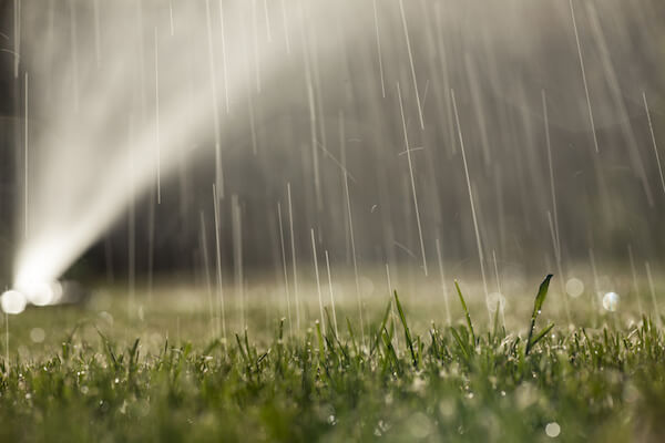 Watering Efficiently: Irrigate Responsibly