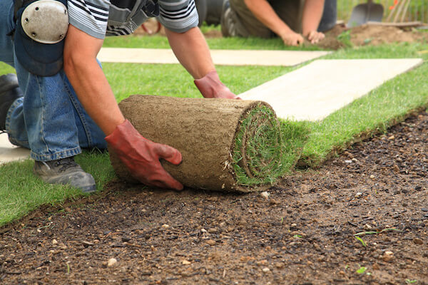 Nitrogen for outlet lawns