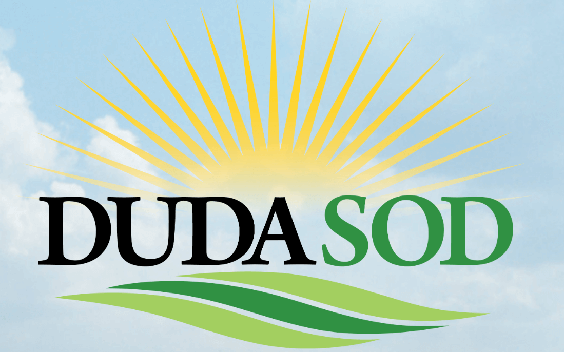 Duda – More than Sod
