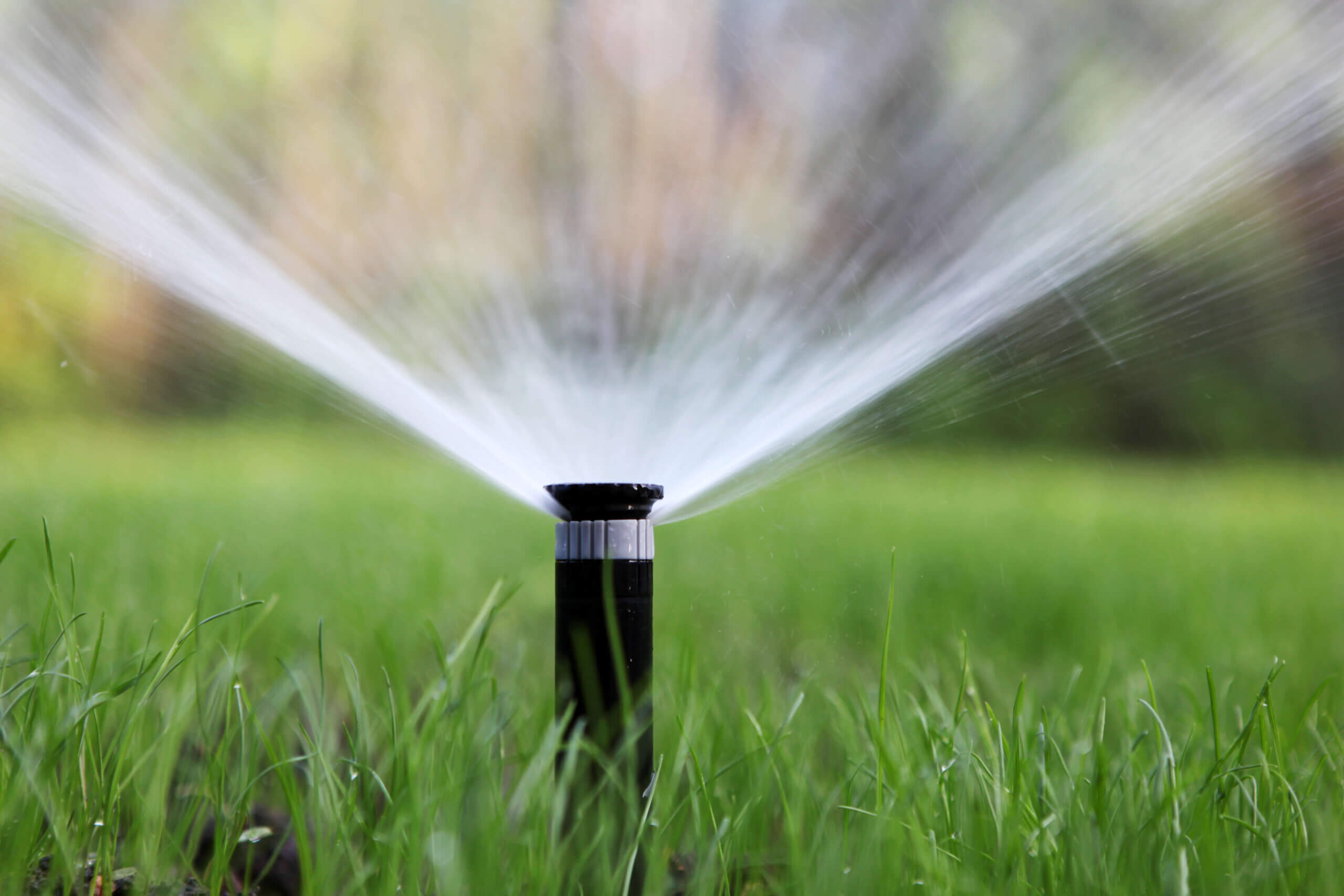 lawn sprinklers