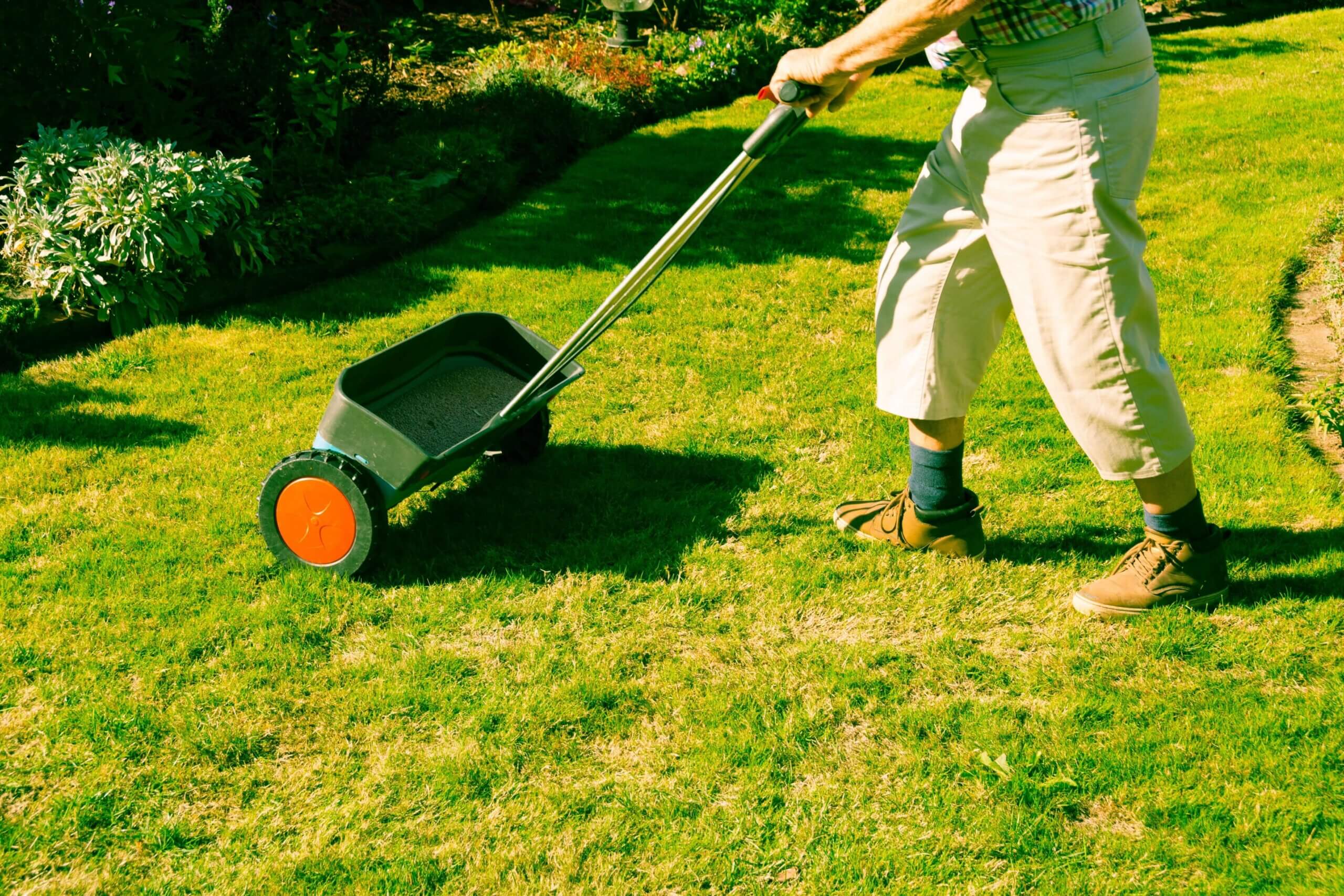Responsible Fertilization of your Florida Lawn