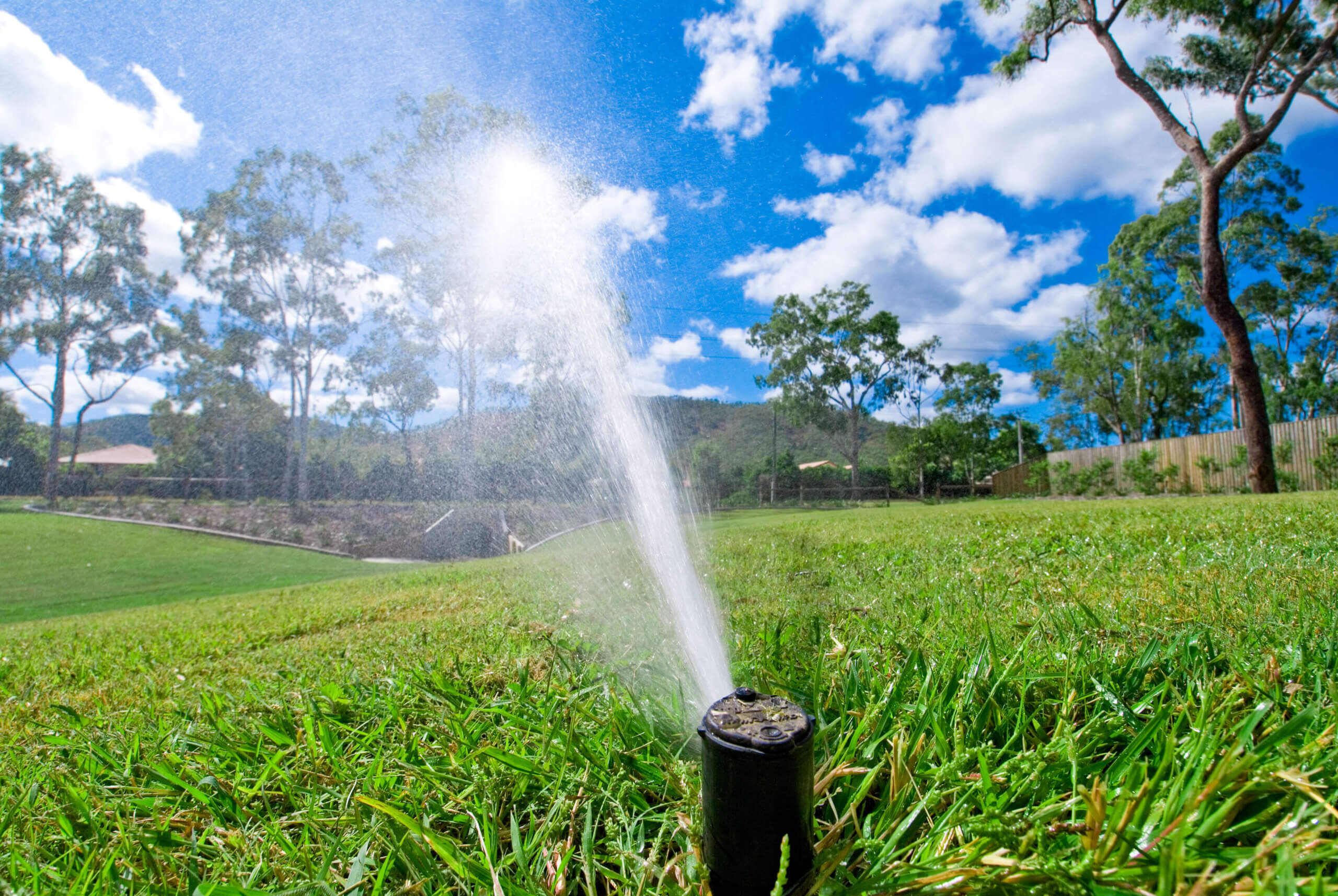 Watering via Irrigation and Sprinkler systems now has to be very water efficient due to water shortages. This is an example of very effective watering whilst being very efficient by using a minimal amount of water.
