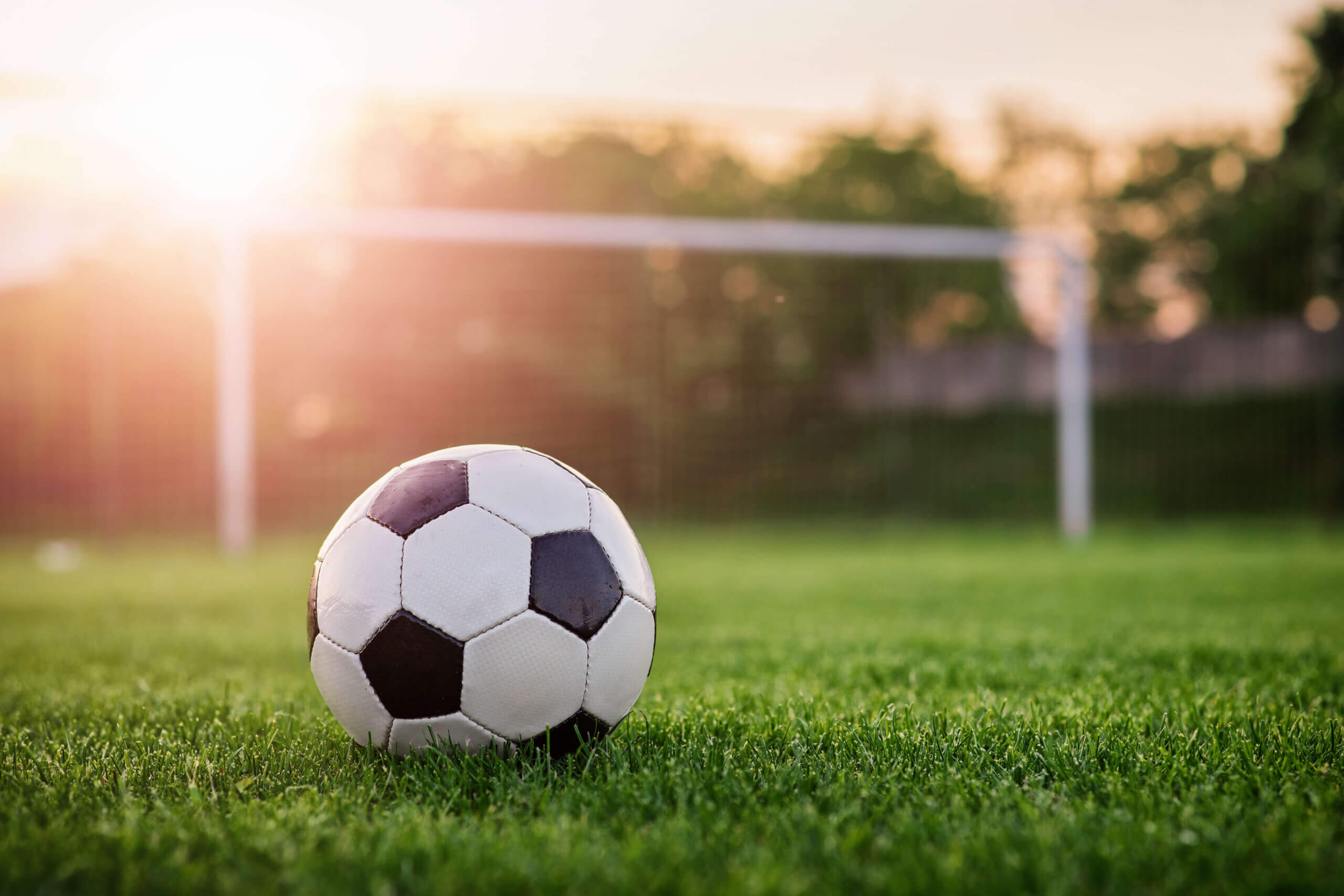 Soccer store field grass