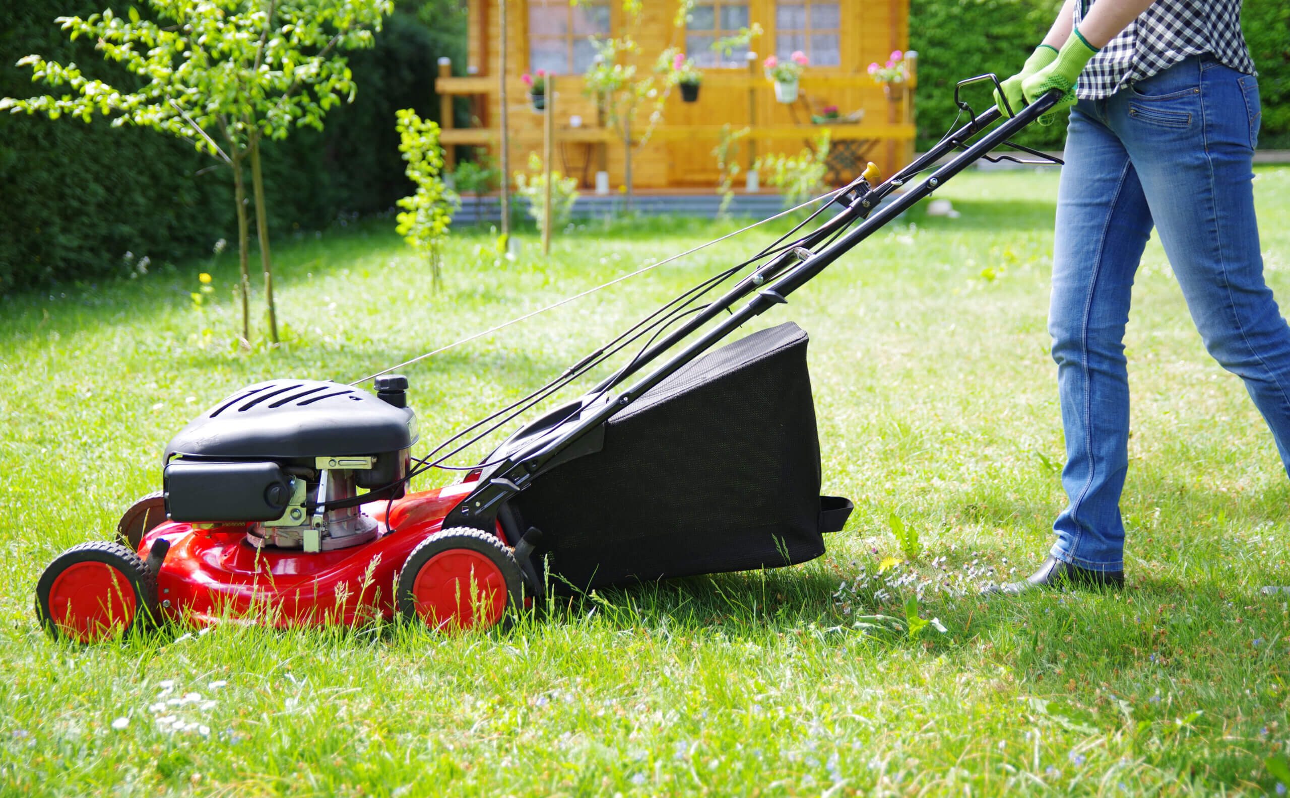 Proper techniques to mow your lawn include time of day, watering, and patterns.