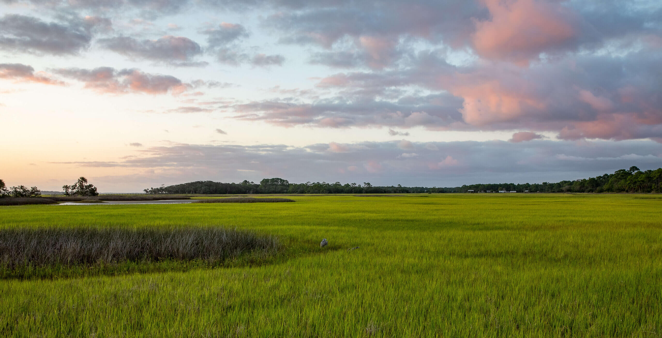 Florida grass growing season is in Spring, but typically can grow all year long in Florida.