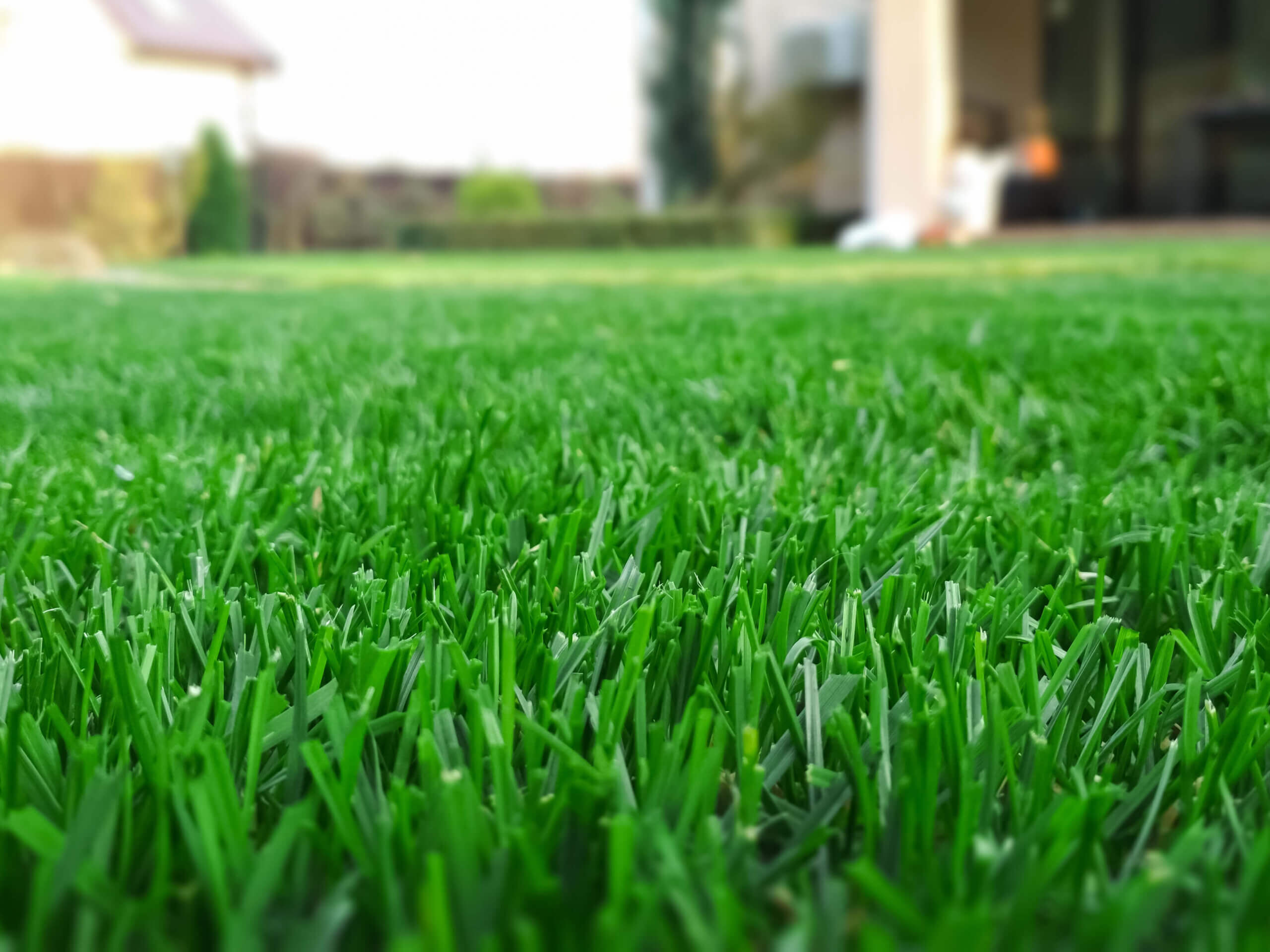 Spring season sunny lawn mowing in the garden. Lawn blur with soft light for background