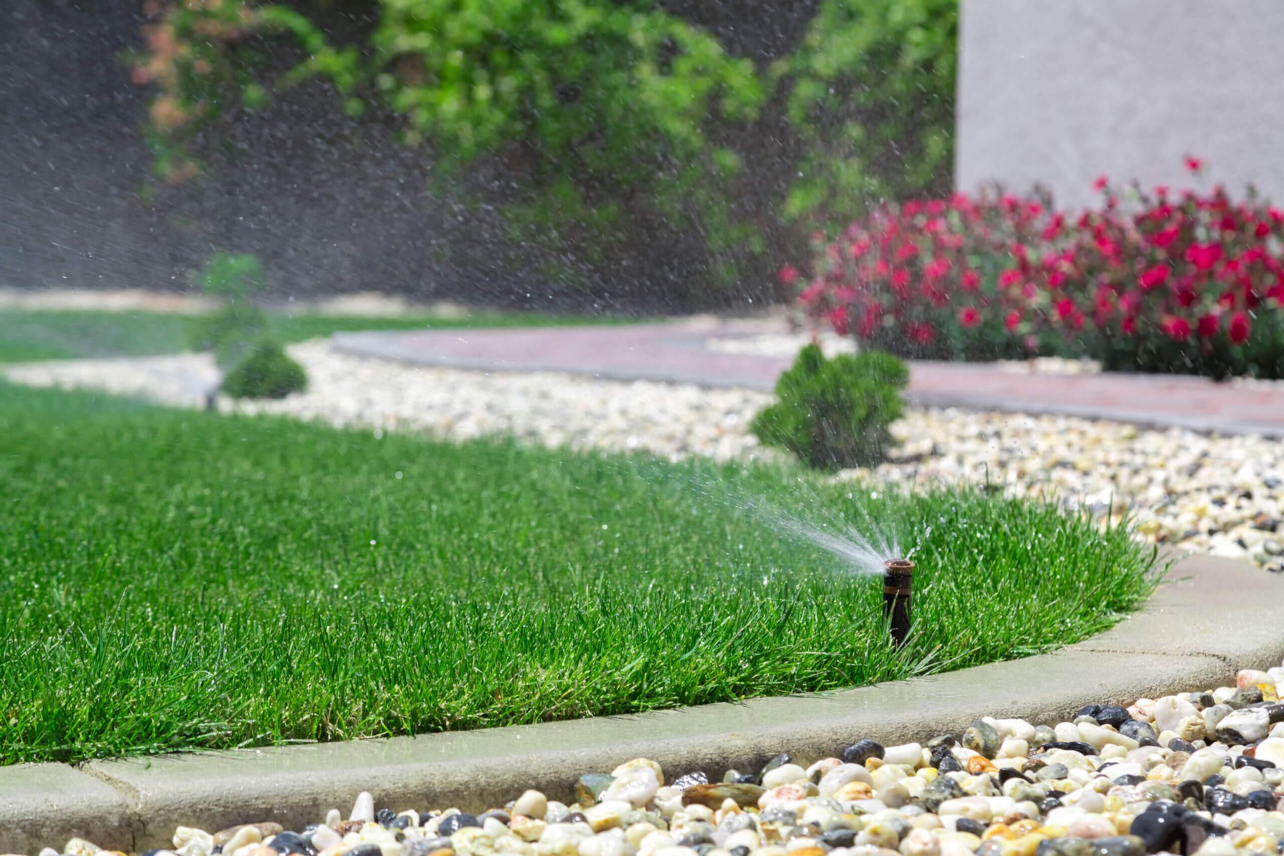 Water irrigation timing in Florida for home lawns.