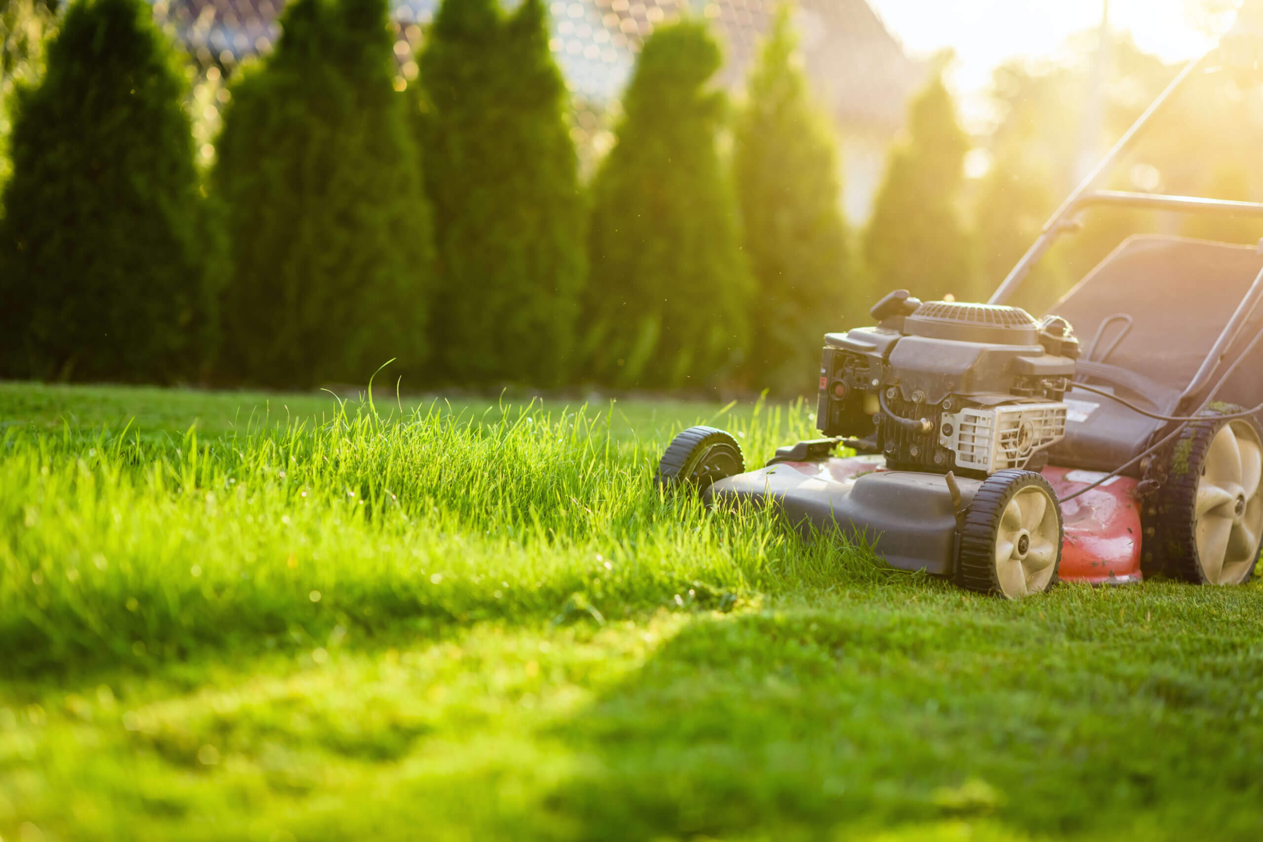 Grass clippings benefit grass from mowing your lawn. 