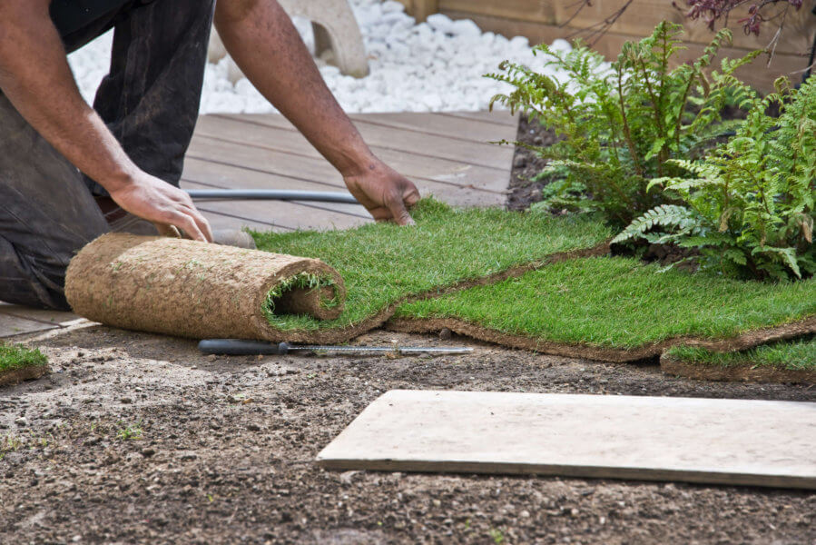 Tips for Installing Sod in Your Florida Lawn