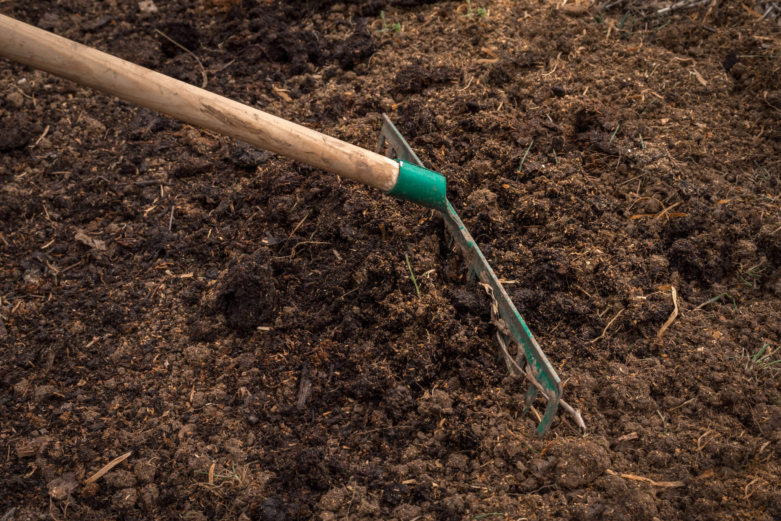 How to prepare on sale soil for sod