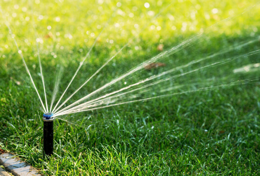 watering your lawn Automatic watering lawns. Gardening.