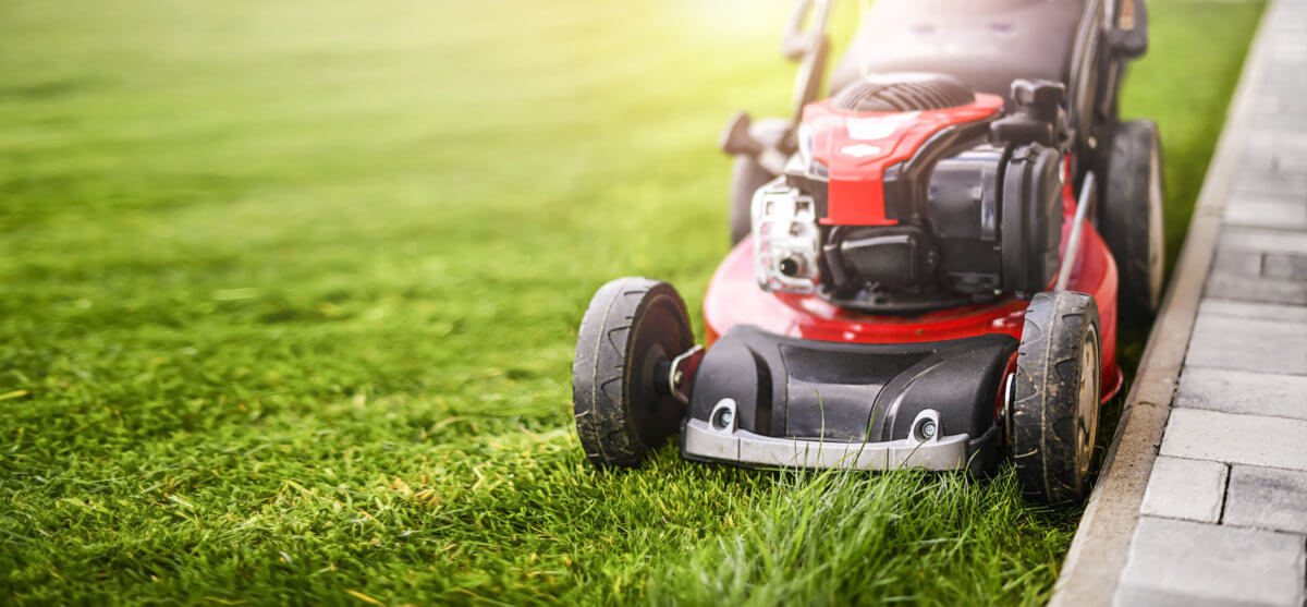 Lawn mover on green grass in modern garden. Machine for cutting lawn.