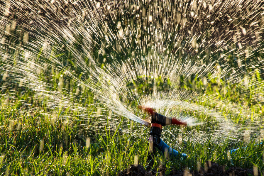 over-watering Splashing water to water the lawn as a background .