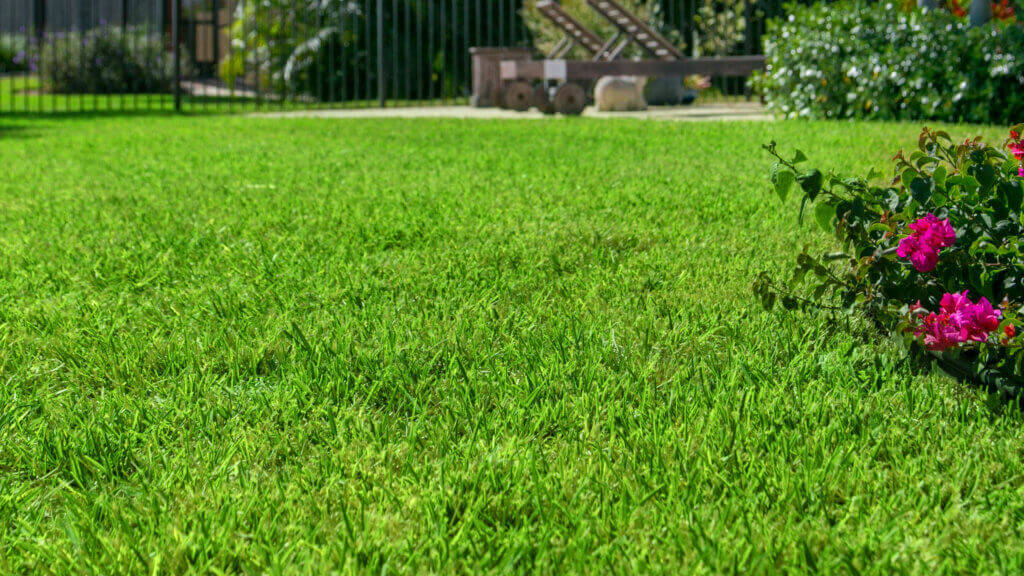 Top Environmentally Friendly Grass Tips - Duda Sod