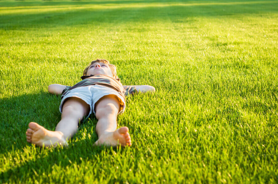 The boy lies on a well-groomed lawn illuminated by the sun's rays