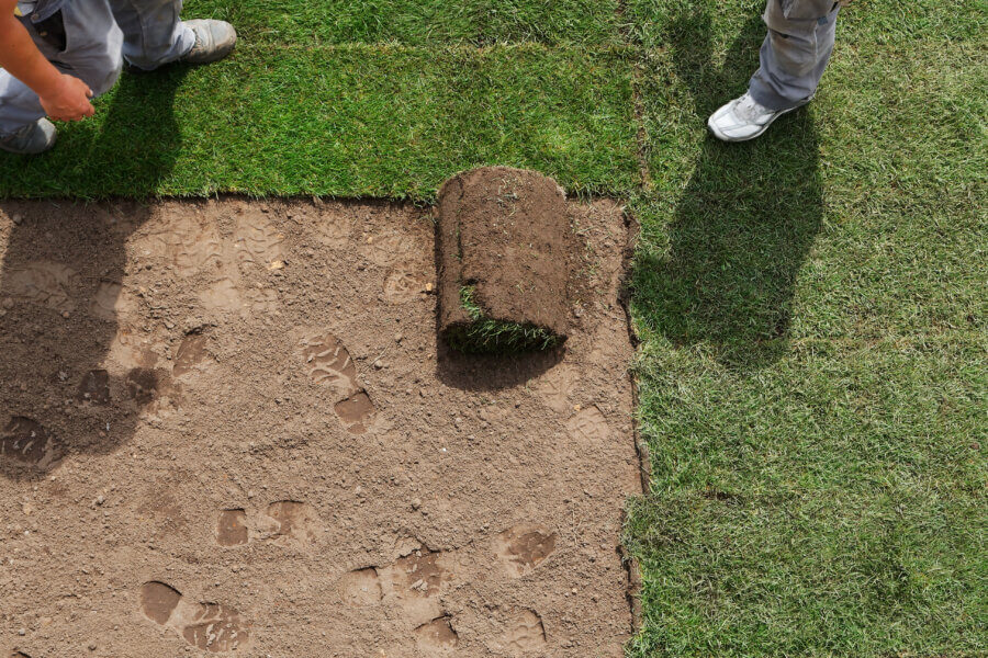 Sod Installation: Timing, Techniques, and Common Pitfalls to Avoid 