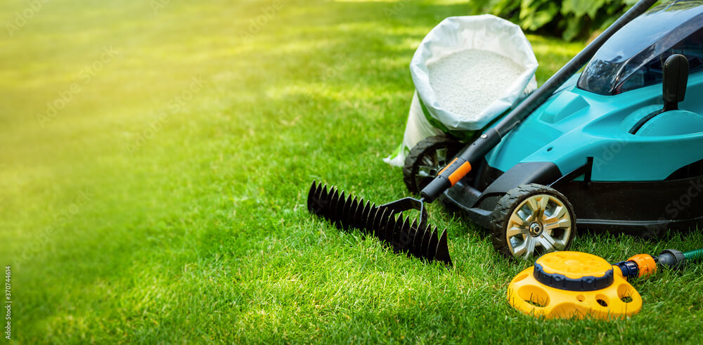 Exploring Sustainable Lawn Care: Eco-Friendly Practices for Your Yard