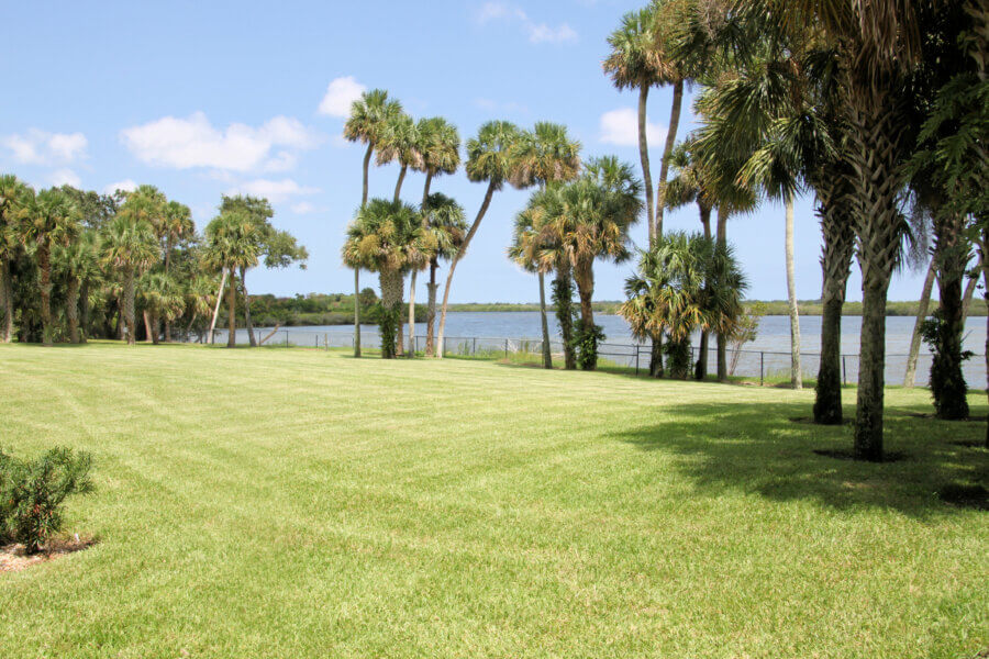 Signs Your Lawn Needs New Sod (and Which to Choose).